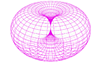 Torus