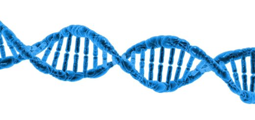 DNA Doppelhelix